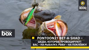 Pontoon21 Bet-A-Shad – шеды, которые провоцируют! Вас – на рыбалку, рыбу – на поклёвку! Anglers Box