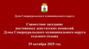 Совместное заседание постоянных депутатских комиссий Думы 29.10.2025 года
