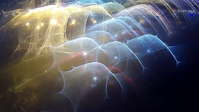 Дублёр Курортного проспекта  Сочи   29.10.2025