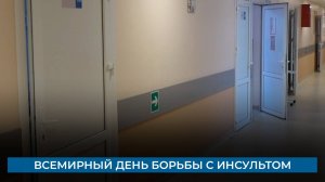 Всемирный день борьбы с инсультом