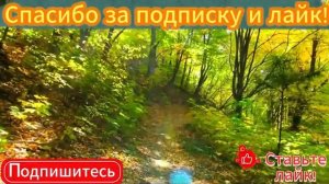 Рассказы о жизни и любви -  Развод