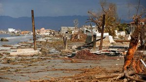 РСТ сообщил об отсутствии сообщений от туристов на Кубе из-за урагана «Мелисса»