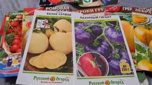 Дачница - неудачница! Крик души))) Мои семена томатов!🤗🤗🤗