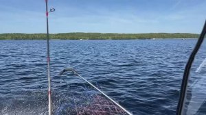 Последний участок правого берега Свири перед выходом в Онежское озеро #база_рыбака_форпост_онега