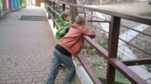 Сафари парк