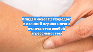 Эпидемиолог Глуходедов: в осенний период клещи отличаются особой агрессивностью