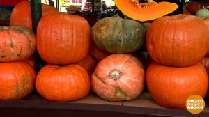 Тыква, королева осени. Доброе утро. Фрагмент выпуска от 30.10.2025