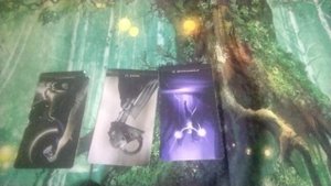 Козерог Ноябрь 2025 таро Отношения Любовь ,Свободные,Расстались