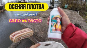 | Осенняя плотва на спиннинг | Тесто для танаго или сало, кто победит? |