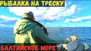 МОРСКАЯ ТРЕСКА АТАКУЕТ! КАЙФУЕМ ПРО МАКСИМУМУ Рыбалка в Балтийском море.