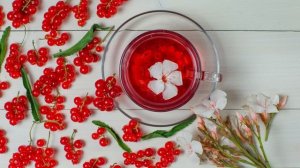 Калина с сахаром на зиму