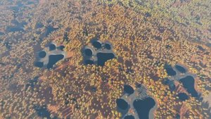 Prologue Go Wayback! - Early Access Announce Trailer