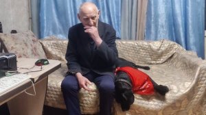 Анекдот @ Владимир Владимирович @ Турбин @ Пёс 🐕 @ Chibo @ Моя Жизнь Кино @ Музей Псов