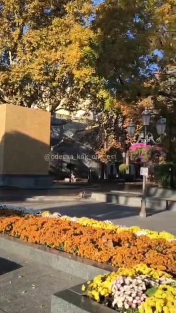 В Одессе заколотили памятник Пушкину