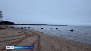 Больше 80 тысяч молодняка сига выпустили в Онежское озеро