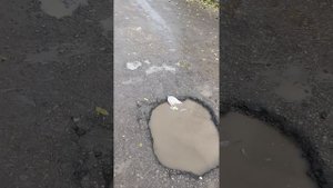 Помогите спасти улицу Бакунина