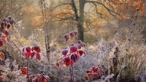 С первым ноября. Музыкальная открытка поздравление.