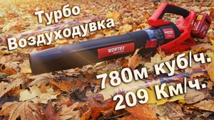 Просто хорошая дуйка WORTEX