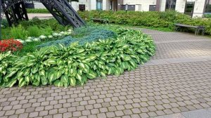 В Санкт-Петербурге тоже есть Лувр и Эфелевая башня.