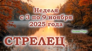 СТРЕЛЕЦ | ТАРО прогноз на неделю с 3 по 9 ноября 2025 года