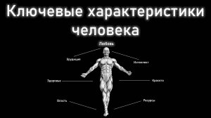 Метахарактеристики. Как их определять и развивать ? Глава 36. Введение в автоэволюционику