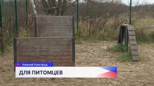 Социальные участковые посодействовали созданию площадки для выгула собак на улице Космической