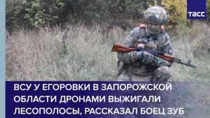 ВСУ у Егоровки в Запорожской области дронами выжигали лесополосы, рассказал боец Зуб