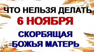 6 ноября. Праздник иконы Божией Матери «Всех скорбящих радость» Что можно и нельзя делать.