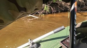 🎣ТАКИХ ДАВНЕНЬКО НЕ БРАЛ🎣fishing#туризм#природа#ловля#рыбалка#щука#ловлящуки#ночевка#Чулым#река#сп