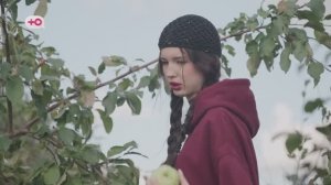 Собрать яблоки для приготовления компота