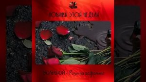 БОЛЬШОЙ - Розы на асфальте