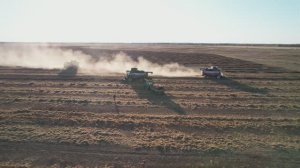 Уборка льна в Кургансемена в 2025 году: технологии и результаты