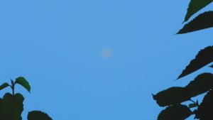 Н.Л.О. сняли на камеру