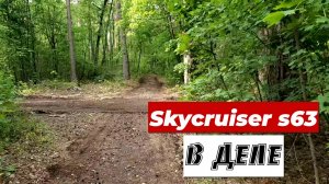 КОП в ЛЕСУ с металлоискателем Skycruiser s63.