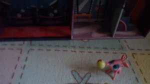 10.06.2015г. Концерт в Отеле.