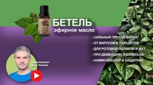 Бетелевое эфирное масло
