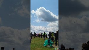 ВИВА АВИА стрижи