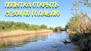 Попытка открыть сезон по голавлю