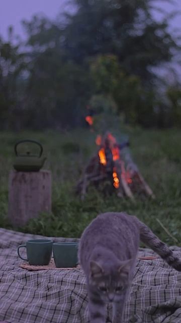 Дача, тишина, природа смотреть онлайн