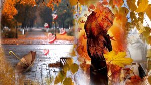 В ПОДВОРОТНЕ  ОСЕНЬ С ВЕТРОМ ТАНЦЕВАЛА