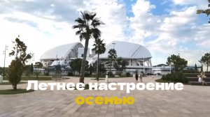 Летнее настроение осенью