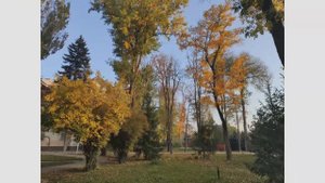 Ростовская осень Октябрь 2025