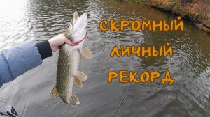Рыбалка с лодки.Скромный личный рекорд.