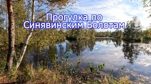 Прогулка по Синявинским Болотам