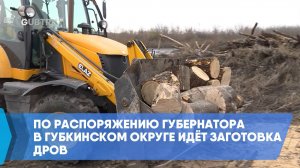 По распоряжению губернатора в Губкинском округе идёт заготовка дров