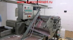 Линия переработки, очистки черевы КРС, МРС, свиней, кишок