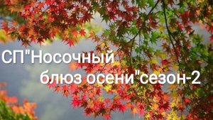 СП"Носочный блюз осени " отчëт за октябрь.