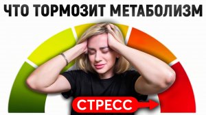 СТРЕСС хранит в тебе жир. Ошибка всех, кто пытается похудеть