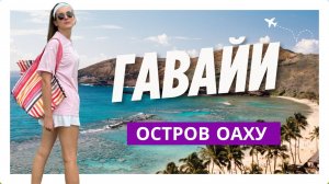 Гавайи (Оаху): красивейшие пляжи, природа и домашняя свадьба.