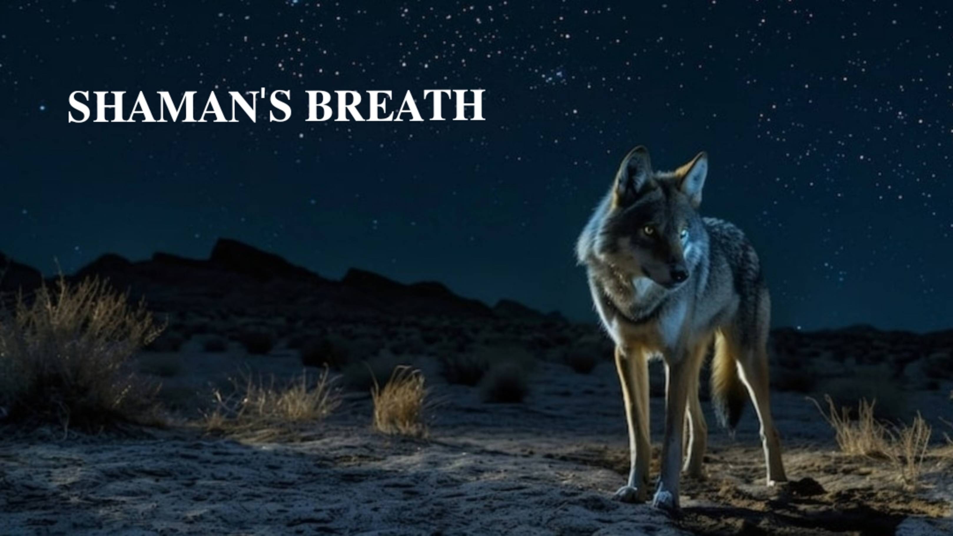 ДЫХАНИЕ ШАМАНА | 𝐒𝐇𝐀𝐌𝐀𝐍'𝐒 𝐁𝐑𝐄𝐀𝐓𝐇